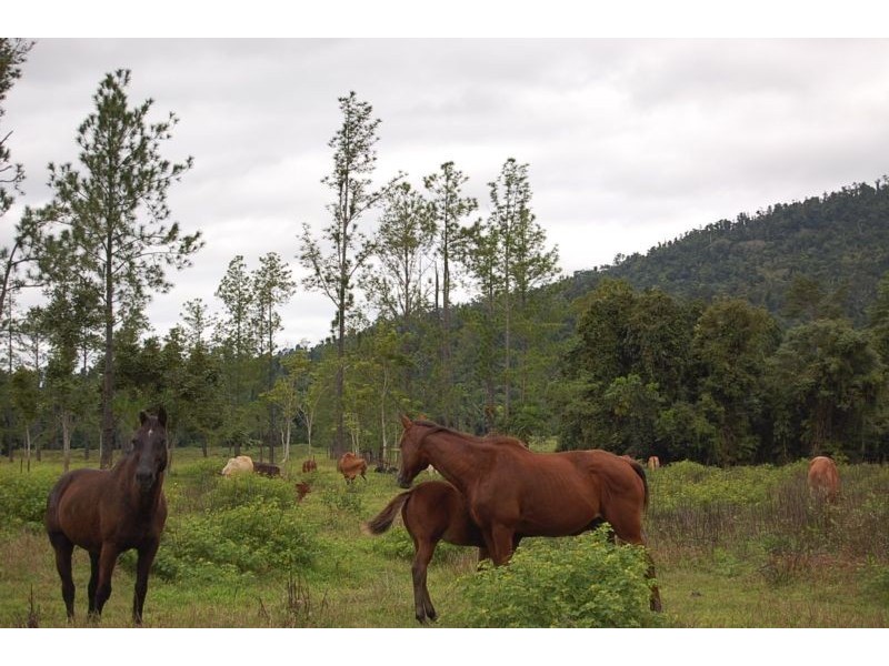 Mena Creek QLD 4871