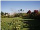 Mourilyan QLD 4858