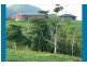 527 Donkin Road, Mena Creek QLD 4871