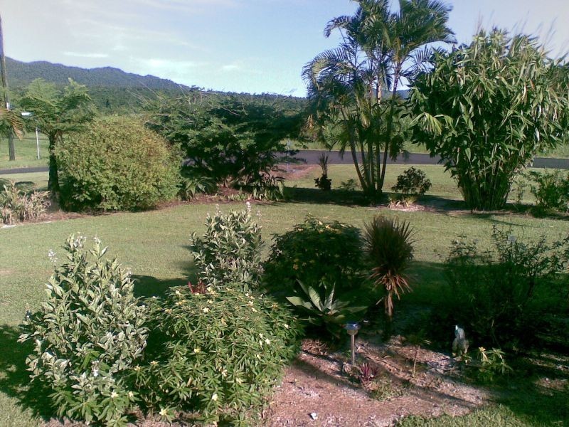 Babinda QLD 4861