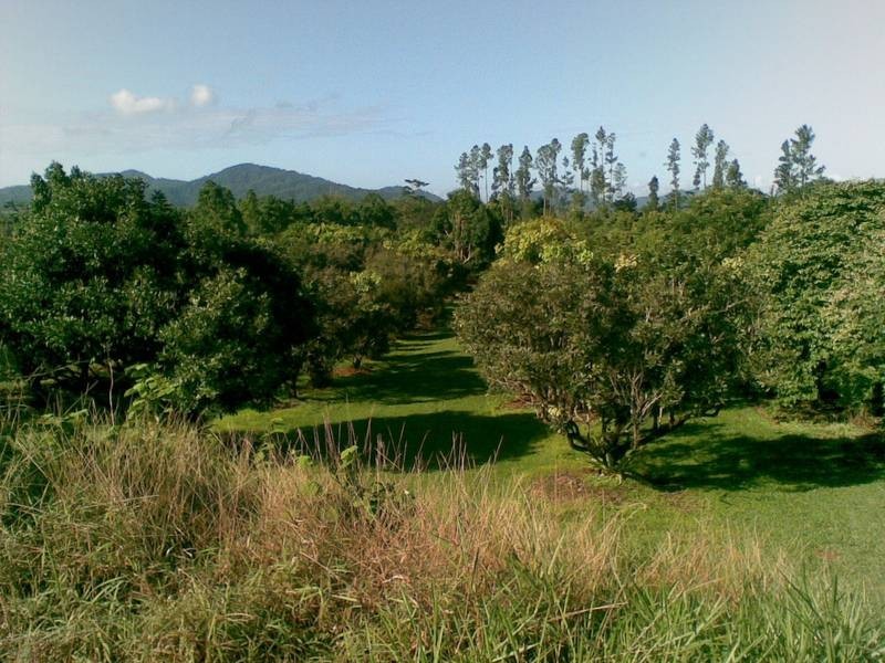 Babinda QLD 4861