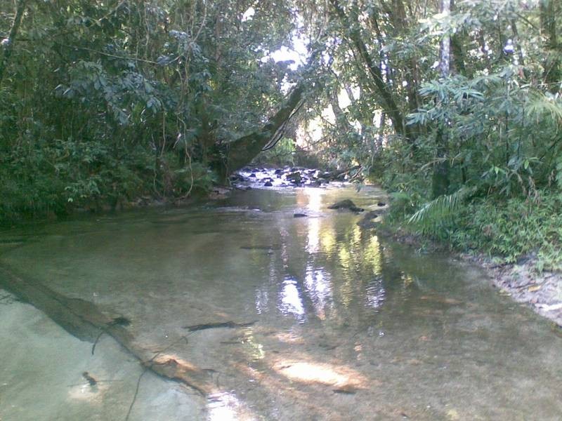 Babinda QLD 4861