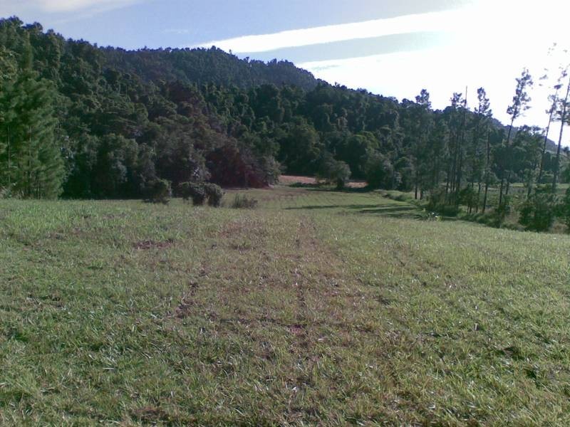 Babinda QLD 4861