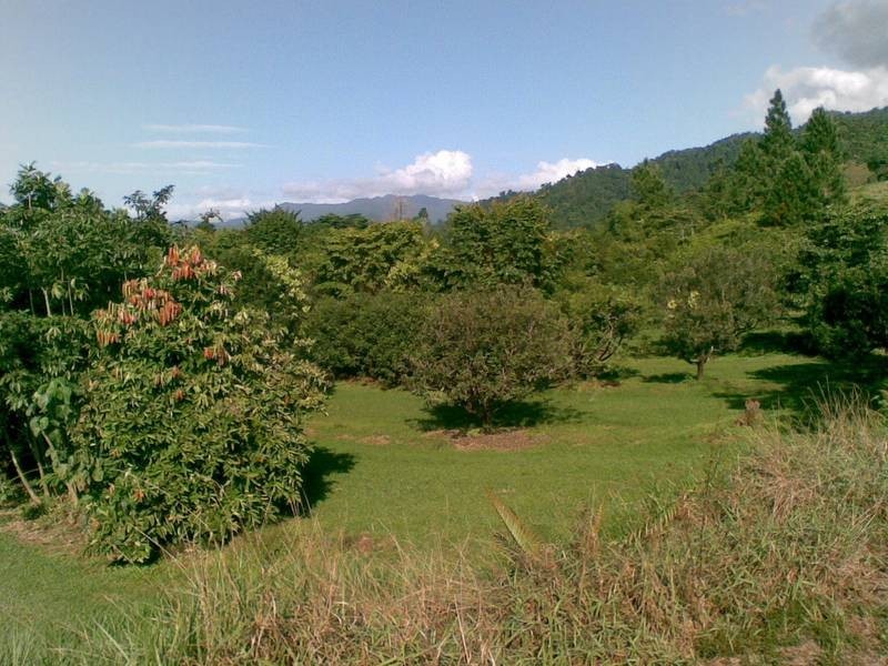 Babinda QLD 4861