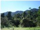 Babinda QLD 4861