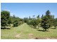 Innisfail QLD 4860