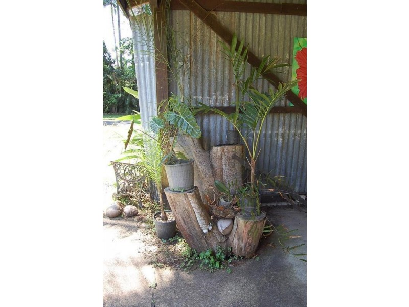 Innisfail QLD 4860
