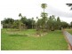 414 Palmerston High Way, Innisfail QLD 4860