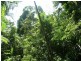Innisfail QLD 4860