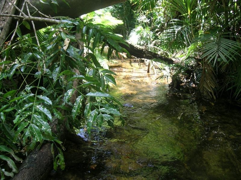 Innisfail QLD 4860