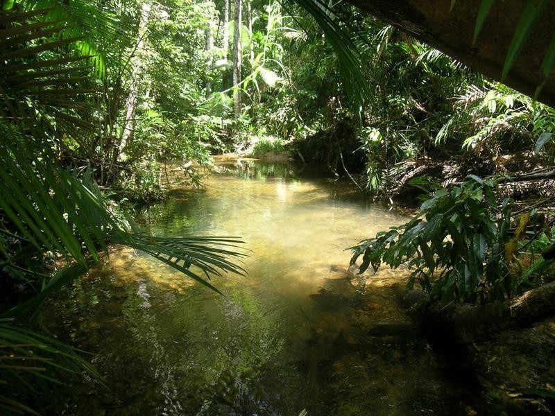 Innisfail QLD 4860