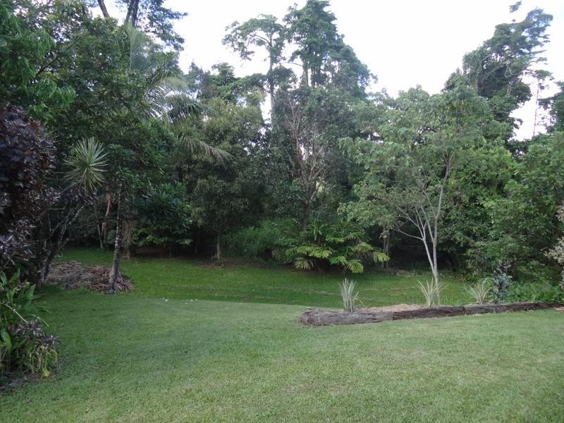 Lot L1, 1316 Palmerston Highway Coorumba, Innisfail QLD 4860