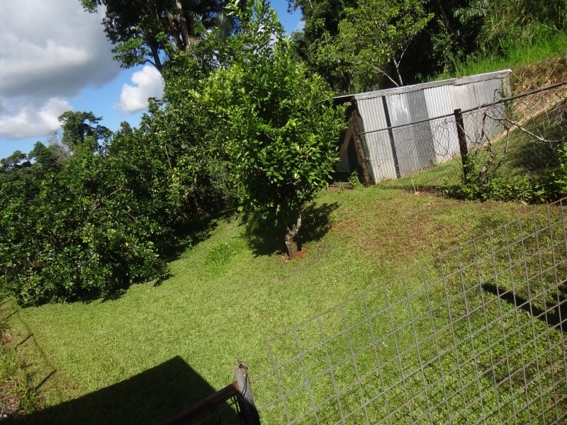 Lot L1, 1316 Palmerston Highway Coorumba, Innisfail QLD 4860