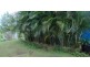 South Johnstone QLD 4859