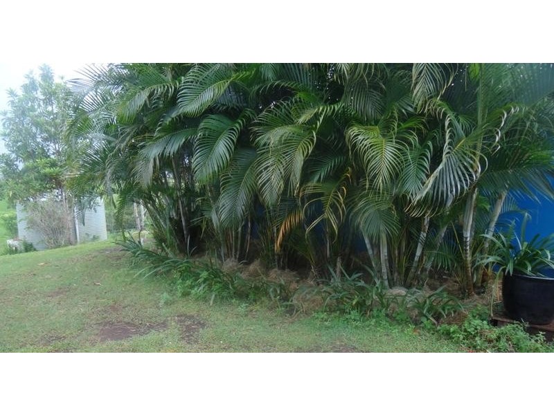 South Johnstone QLD 4859