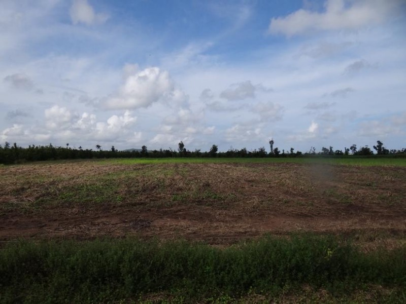 Lot l462, 462 FORMOSA ROAD, Silkwood QLD 4856