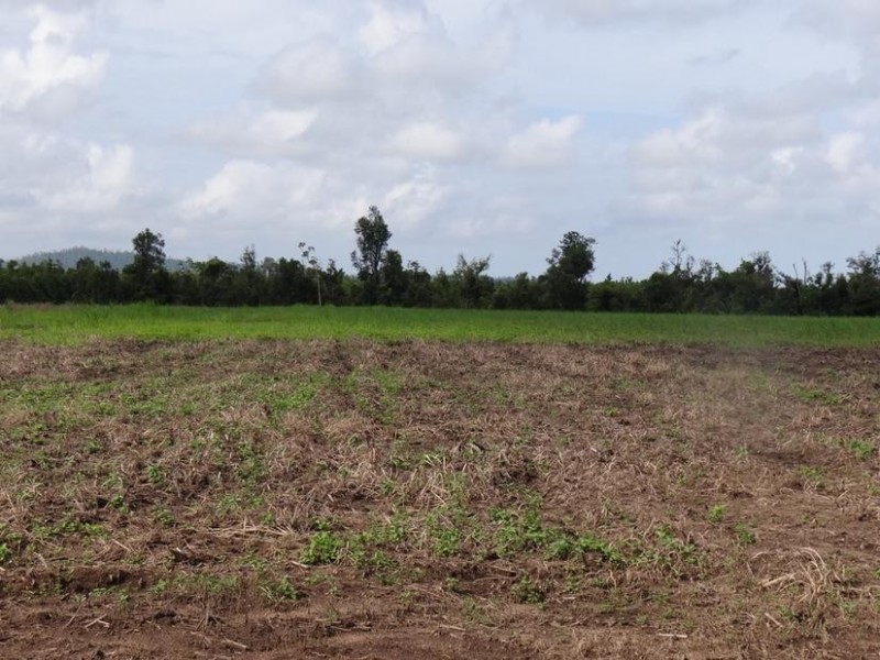 Lot l462, 462 FORMOSA ROAD, Silkwood QLD 4856