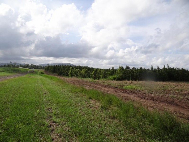 Lot l462, 462 FORMOSA ROAD, Silkwood QLD 4856