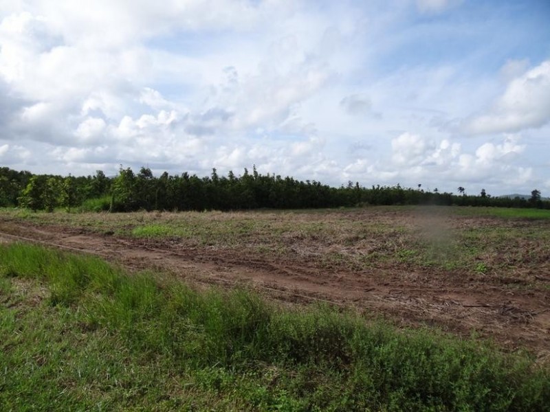 Lot l462, 462 FORMOSA ROAD, Silkwood QLD 4856