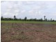 Lot l462, 462 FORMOSA ROAD, Silkwood QLD 4856