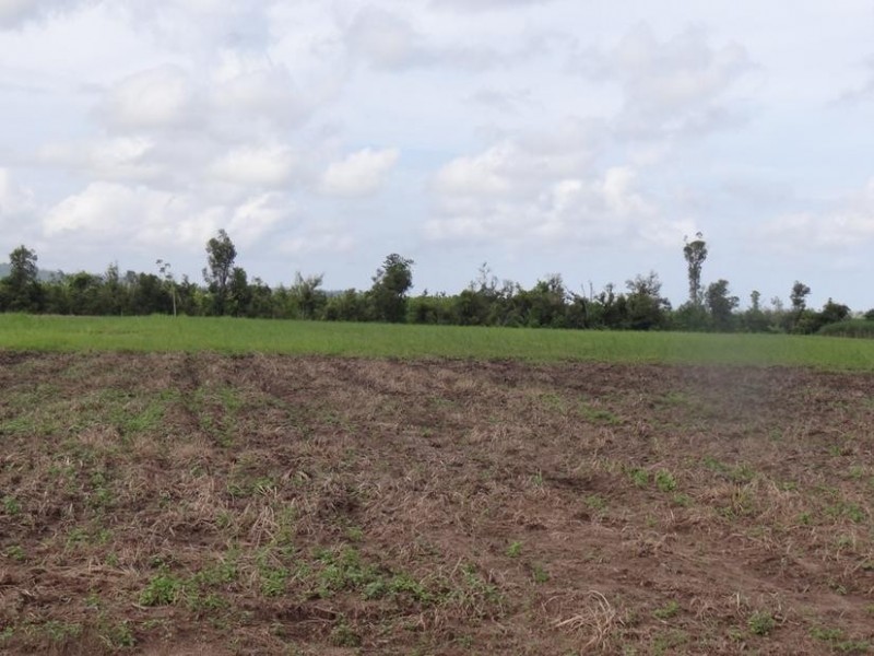 Lot l462, 462 FORMOSA ROAD, Silkwood QLD 4856