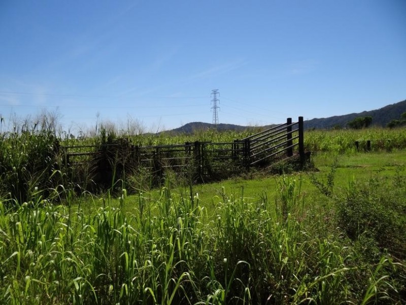 Lot 1, 1A Meuanbah Road, Mena Creek QLD 4871