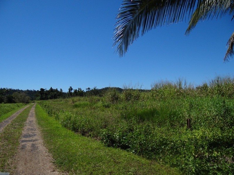 Mena Creek QLD 4871