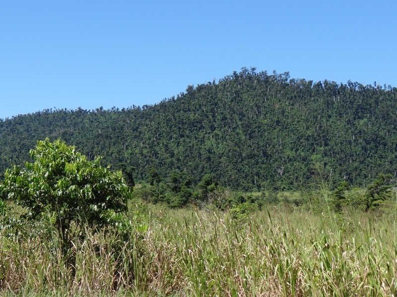 Mena Creek QLD 4871