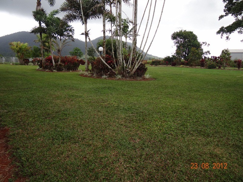 543 Utchee CK, Mena Creek QLD 4871