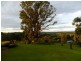 Lot 2, lot2 First Avenue, Tarzali QLD 4885