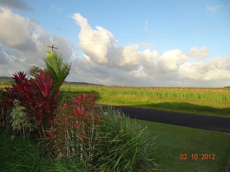 Innisfail Estate QLD 4860