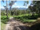 117 MCLEAN BRIDGE, Julatten QLD 4871