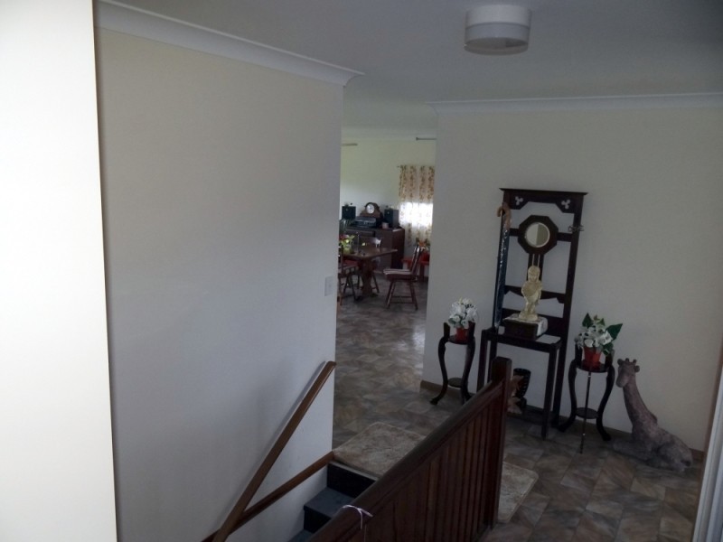 Coconuts QLD 4860