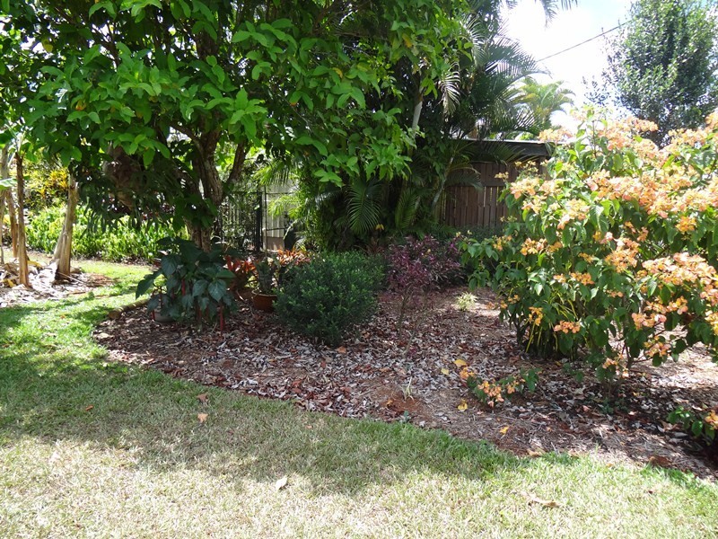 53 UTCHEE CK RD, Mena Creek QLD 4871