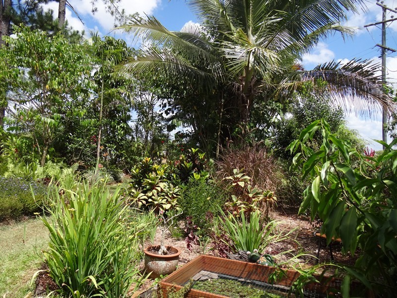 53 UTCHEE CK RD, Mena Creek QLD 4871