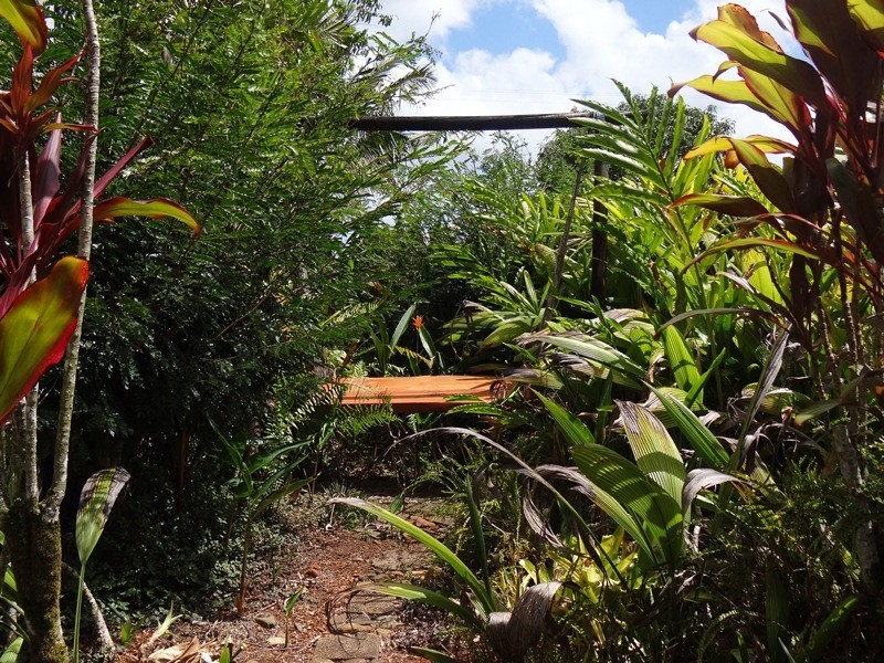 53 UTCHEE CK RD, Mena Creek QLD 4871