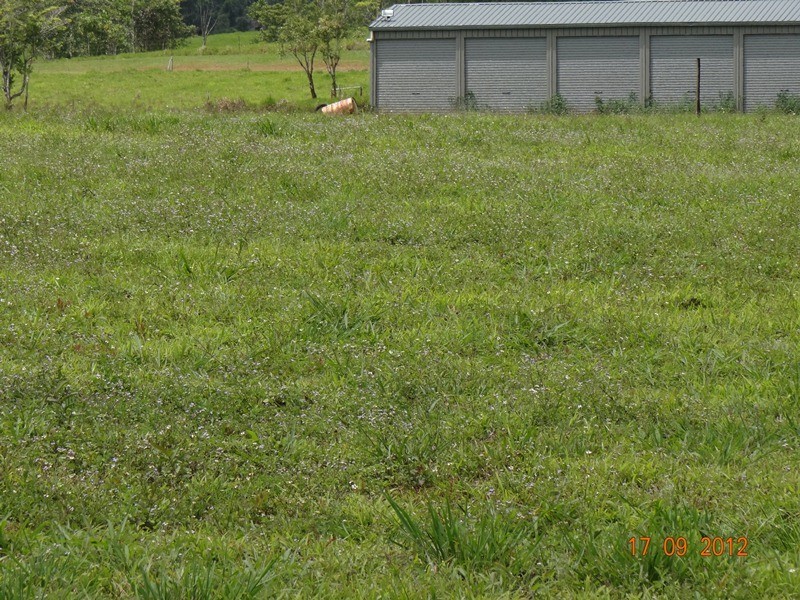 Lot 3, 3 Moyle Road, Garradunga QLD 4860