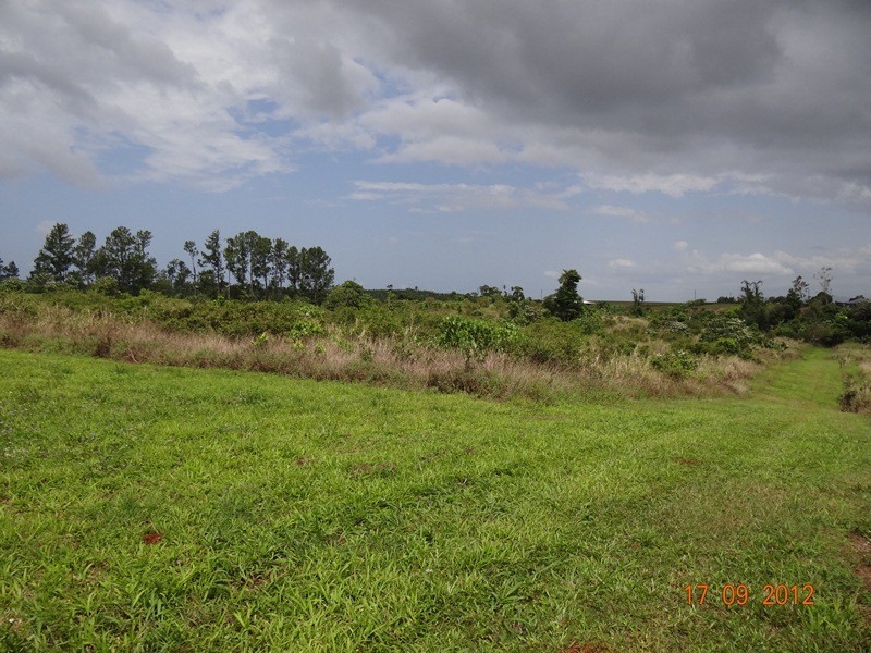 Lot 3, 3 Moyle Road, Garradunga QLD 4860