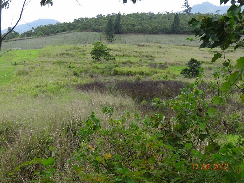 Lot 3, 3 Moyle Road, Garradunga QLD 4860