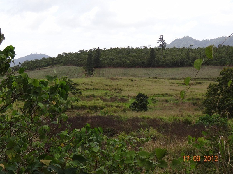 Lot 3, 3 Moyle Road, Garradunga QLD 4860