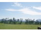 3 Moyle Road Garradunga, QLD, 4860, Garradunga QLD 4860