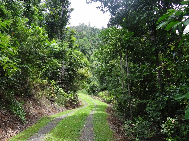 Japoonvale QLD 4856