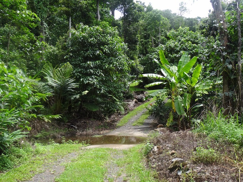 Japoonvale QLD 4856