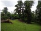 Japoonvale QLD 4856