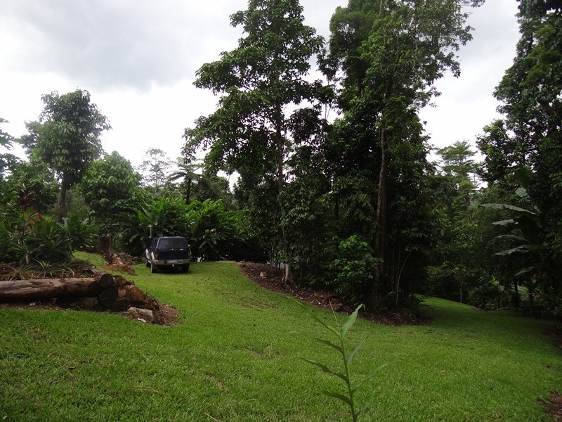 Japoonvale QLD 4856