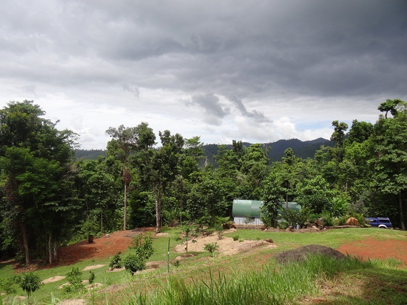 Japoonvale QLD 4856