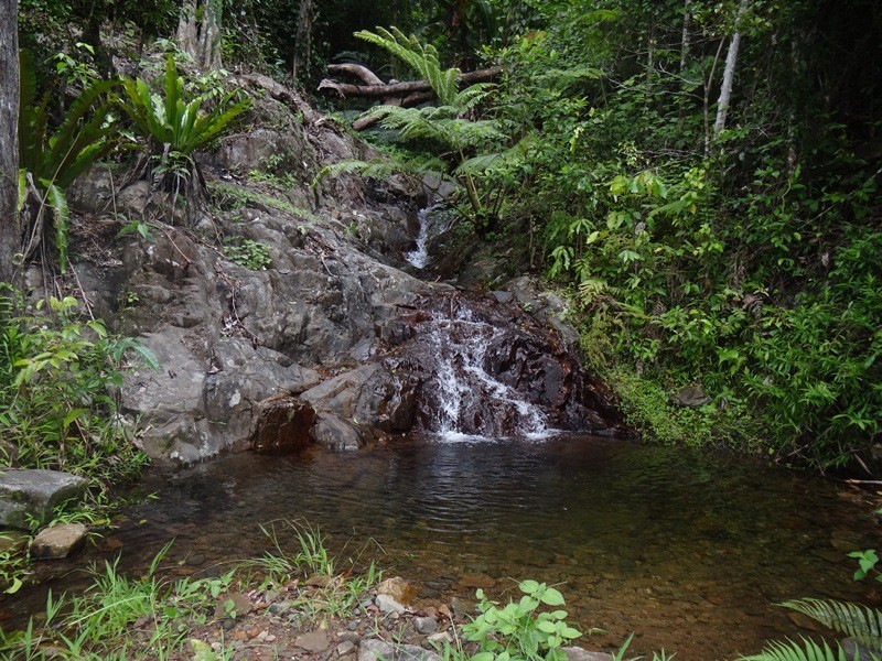 Japoonvale QLD 4856