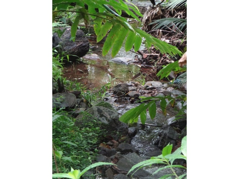 Japoonvale QLD 4856