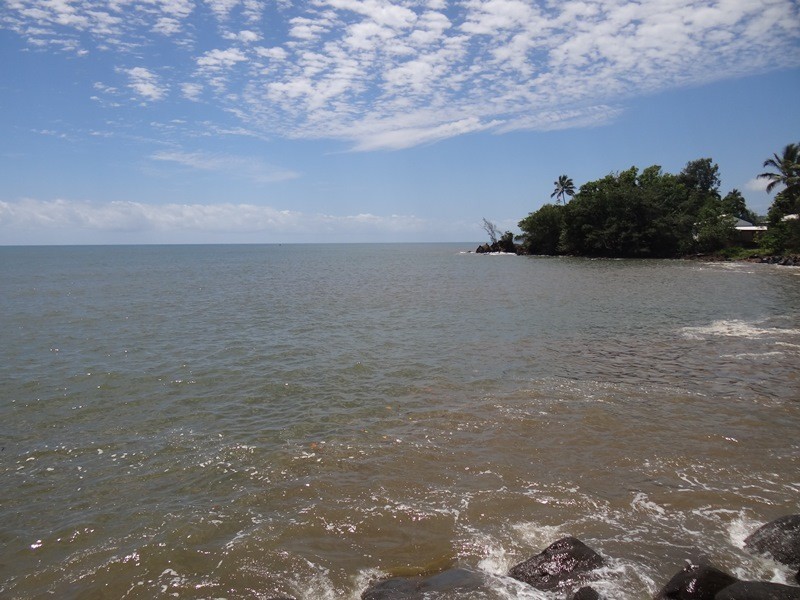 Flying Fish Point QLD 4860