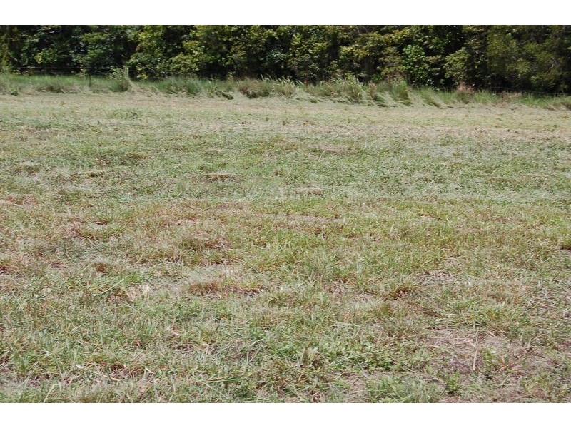 27 Lychee, Etty Bay QLD 4858